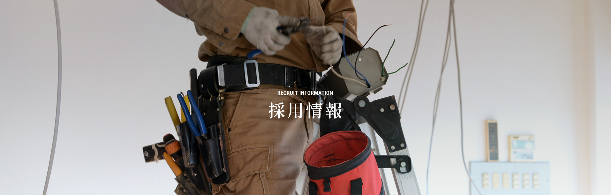 採用情報